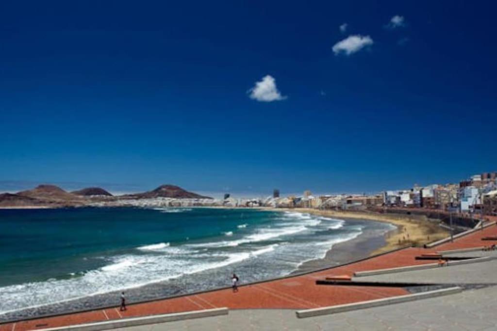 Canteras Beach 40 لاس بالماس دي غران كاناريا المظهر الخارجي الصورة